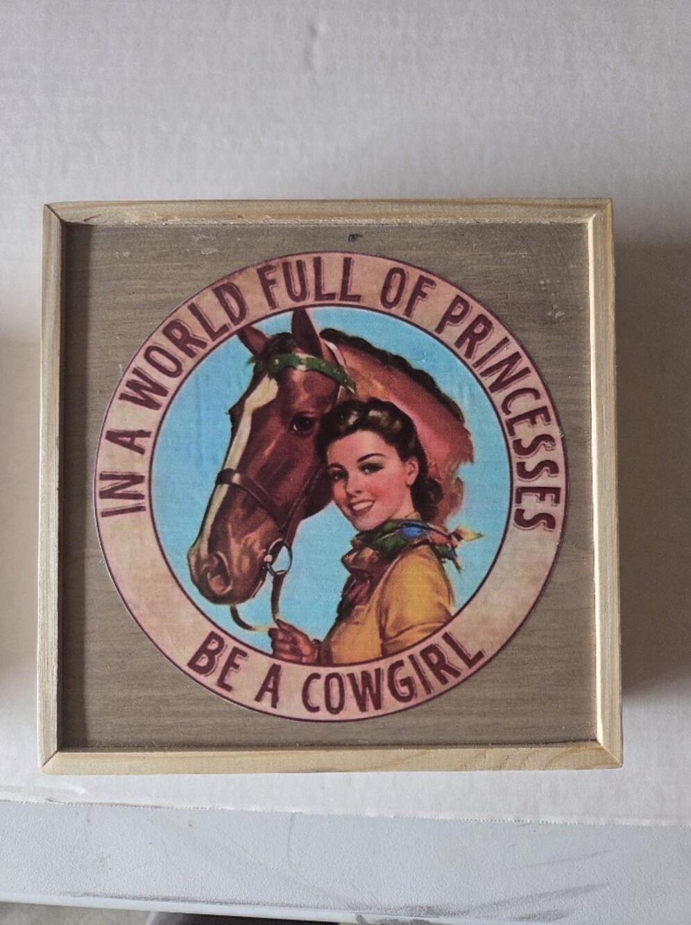 Be A Cowgirl Decorative Wall Plaque - Blue and Brown